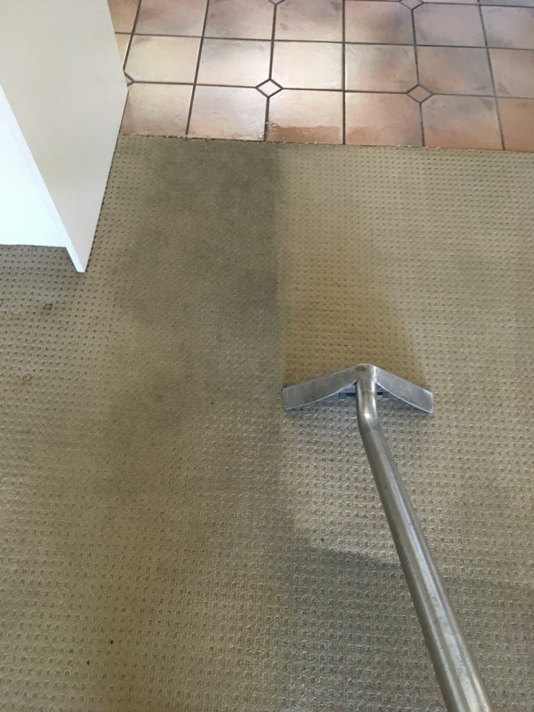 https://oraclecarpetcleaning.com.au/wp-content/uploads/2018/11/carpet-cleaning-brisbane-11.jpg